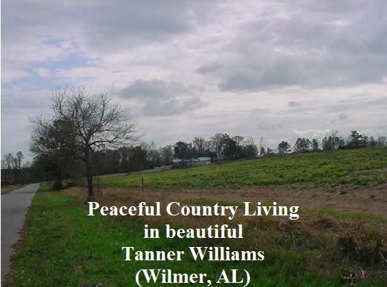 Peaceful Country Living
in beautiful
Tanner Williams
(Wilmer, AL)